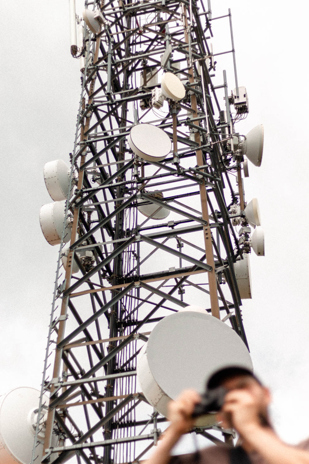 Photo by Antônio Frederico Lasalvia